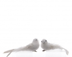Снежная птица на клипсе 2 вида 17см белая